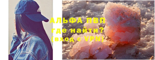 крисы Абаза