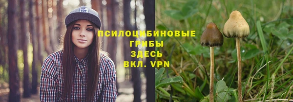 герыч Алексеевка